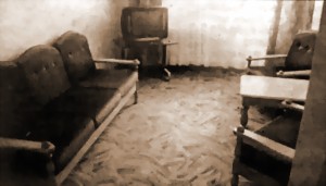 ПОСПАЛ САМ — УСТУПИ МЕСТО ТОВАРИЩУ