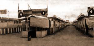 УБОИТСЯ ЛИ ВЛАСТЬ ТОРГОВОГО БУНТА?