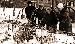 ДОМОВОЙ КОМИТЕТ В ИЗГНАНИИ