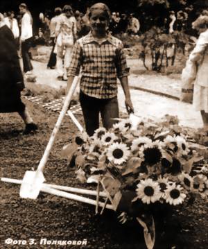 «ФЛОРА-2002»