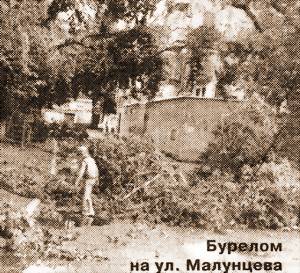 НАЛОМАЛ НЕМАЛО ДРОВ