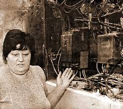 «ЗАГОРЕЛСЯ КОШКИН ДОМ!»