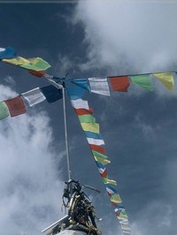 Он лезет на стену