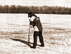 В ПОЛЫНЬЕ